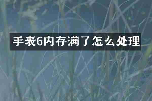 手表6内存满了怎么处理