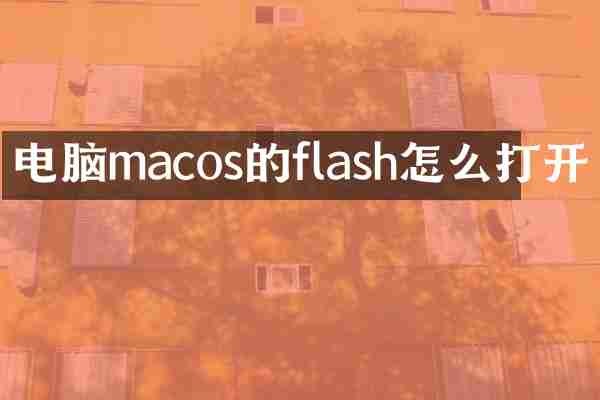 电脑macos的flash怎么打开