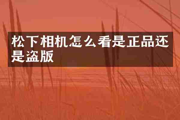 松下相机怎么看是正品还是盗版