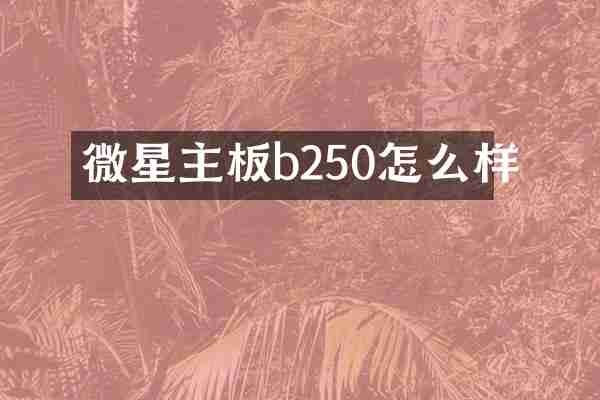 微星主板b250怎么样