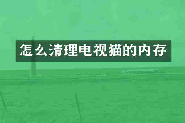 怎么清理电视猫的内存