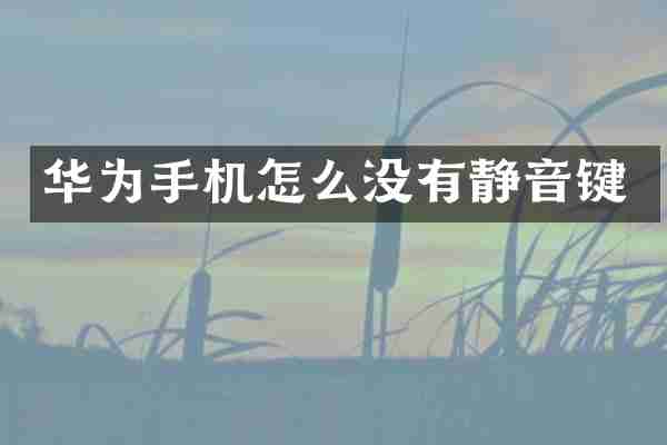 华为手机怎么没有静音键