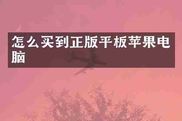 怎么买到正版平板苹果电脑