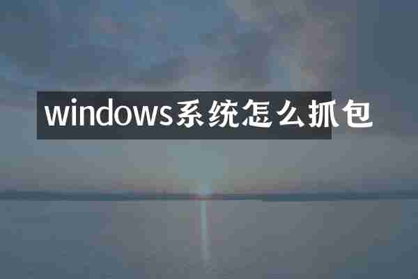 windows系统怎么抓包
