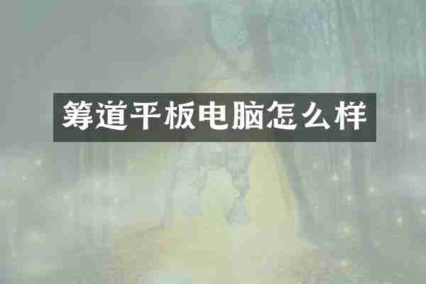 筹道平板电脑怎么样