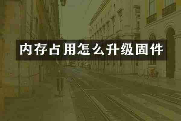 内存占用怎么升级固件