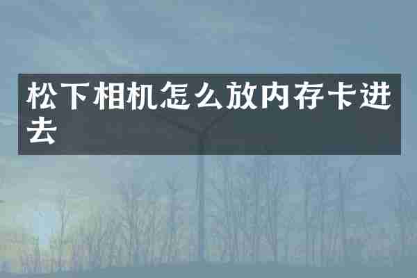 松下相机怎么放内存卡进去