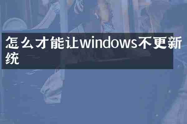 怎么才能让windows不更新系统