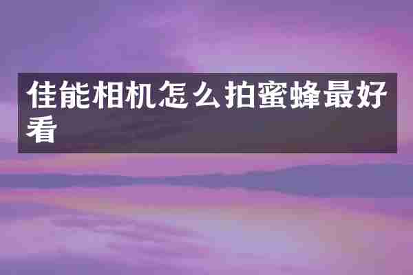 佳能相机怎么拍蜜蜂最好看