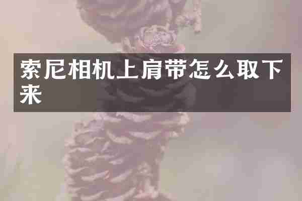 索尼相机上肩带怎么取下来