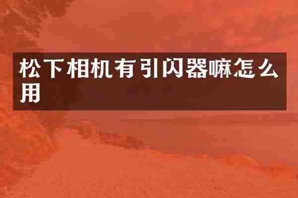松下相机有引闪器嘛怎么用