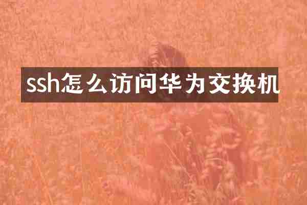 ssh怎么访问华为交换机