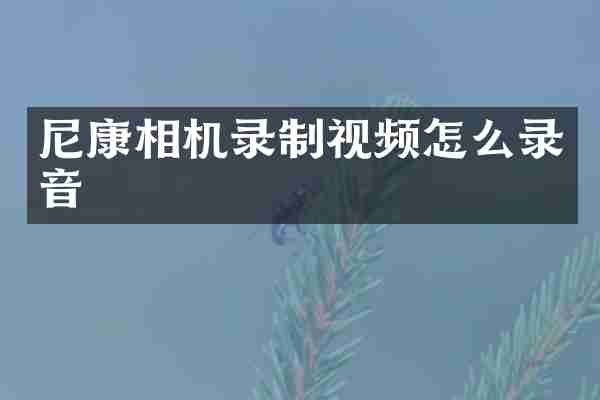 尼康相机录制视频怎么录音