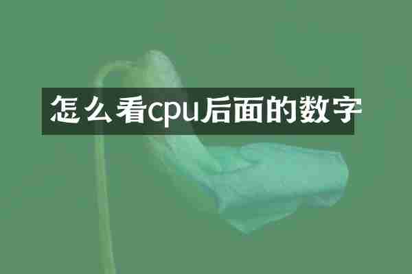 怎么看cpu后面的数字
