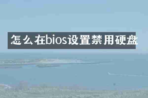 怎么在bios设置禁用硬盘
