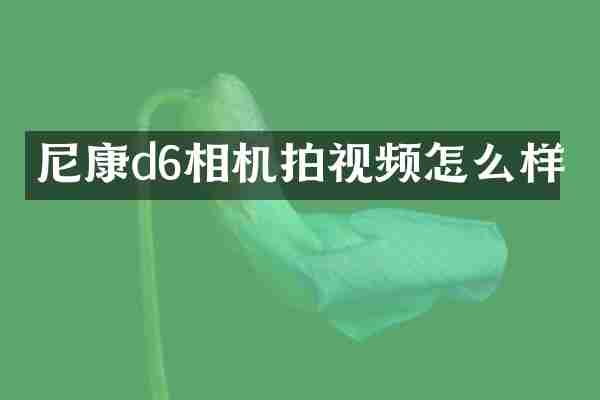 尼康d6相机拍视频怎么样