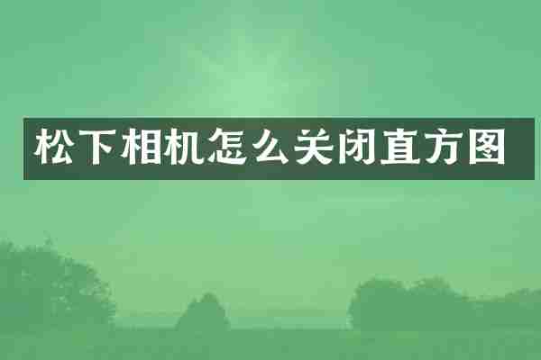 松下相机怎么关闭直方图