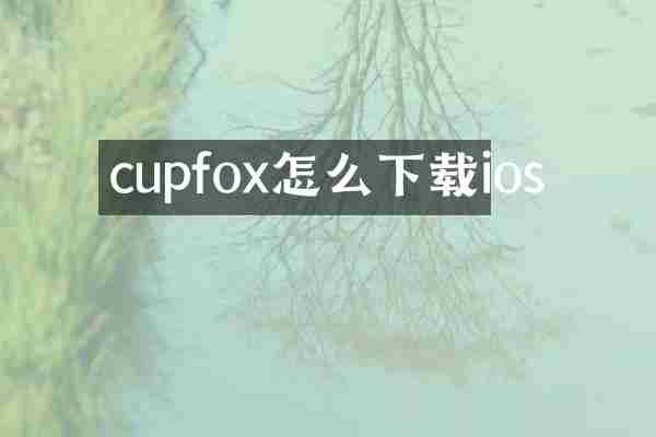 cupfox怎么下载ios