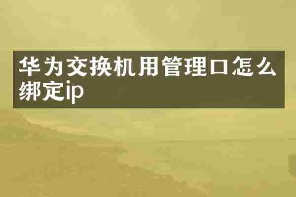 华为交换机用管理口怎么绑定ip