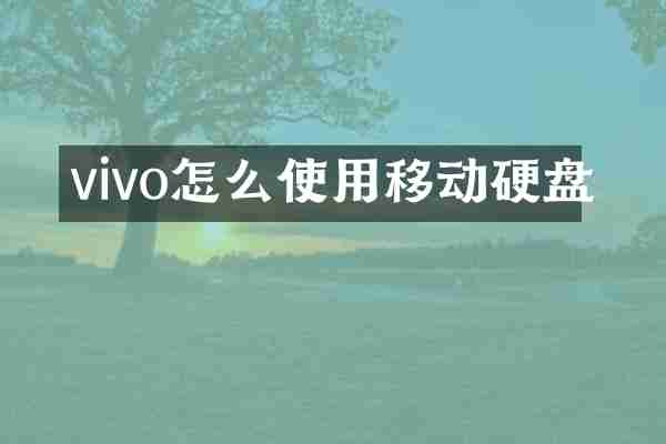 vivo怎么使用移动硬盘