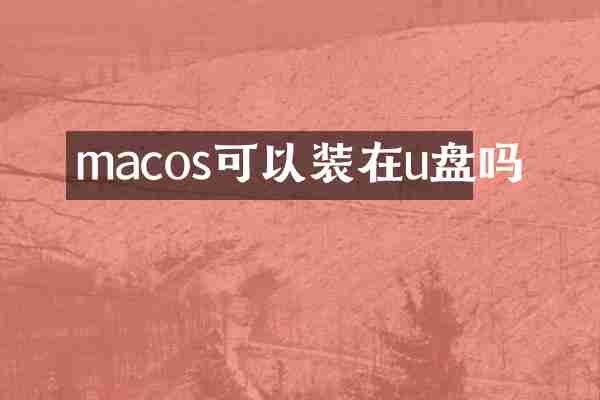 macos可以装在u盘吗