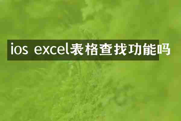 ios excel表格查找功能吗