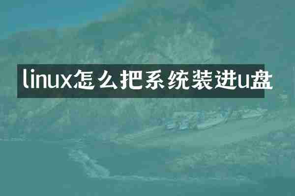 linux怎么把系统装进u盘