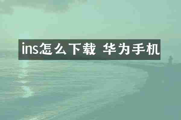 ins怎么下载 华为手机