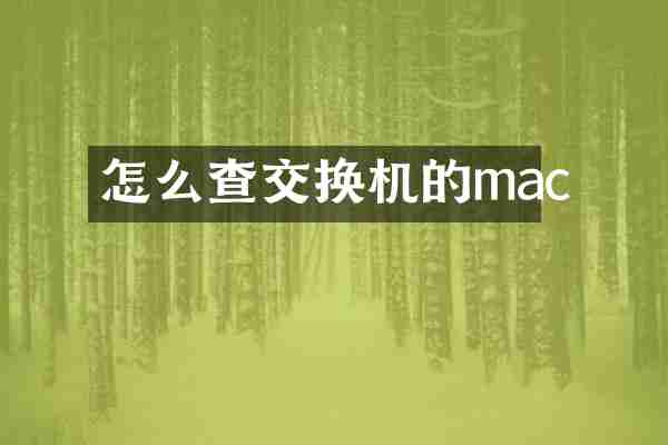 怎么查交换机的mac