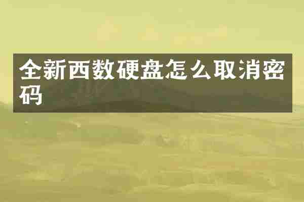 全新西数硬盘怎么取消密码