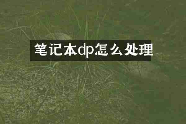 笔记本dp怎么处理