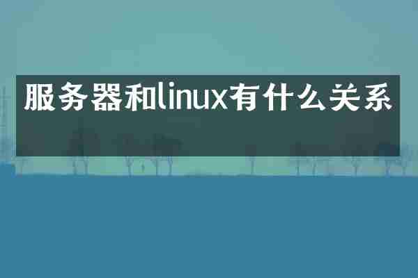 服务器和linux有什么关系嘛