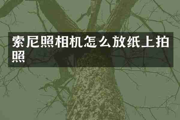 照相机怎么放纸上拍照