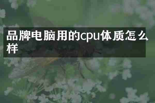 品牌电脑用的cpu体质怎么样