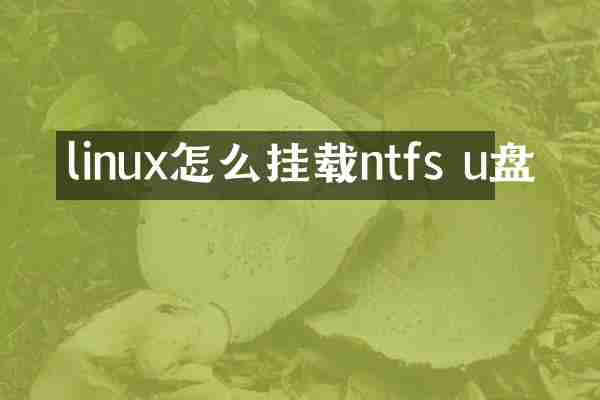 linux怎么挂载ntfs u盘