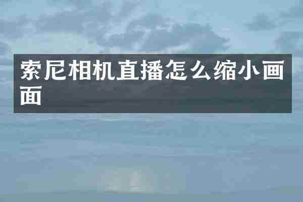 相机直播怎么缩小画面