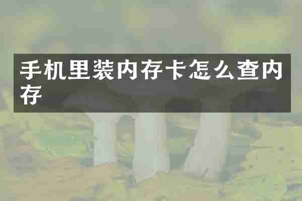 手机里装内存卡怎么查内存