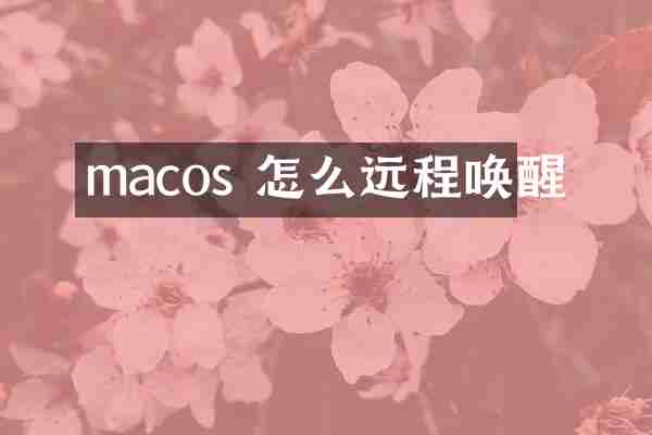 macos 怎么远程唤醒