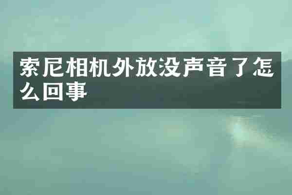 相机外放没声音了怎么回事