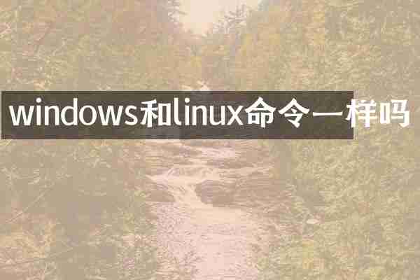 windows和linux命令一样吗