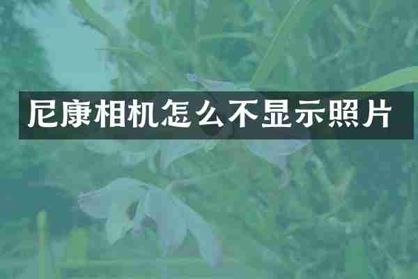 尼康相机怎么不显示照片