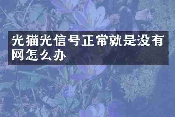 光猫光信号正常就是没有网怎么办