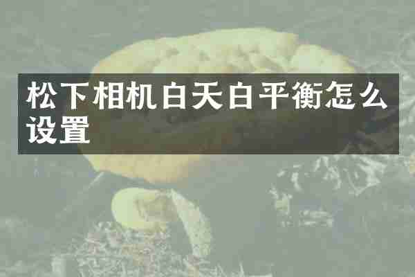 相机白天白平衡怎么设置