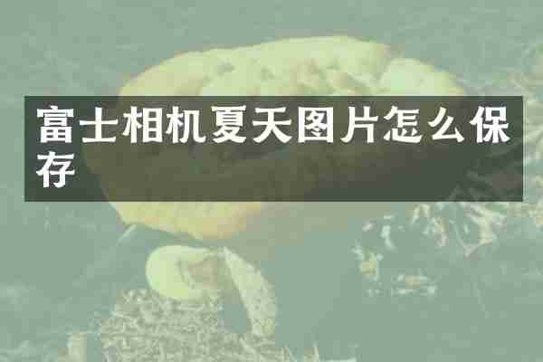 富士相机夏天图片怎么保存