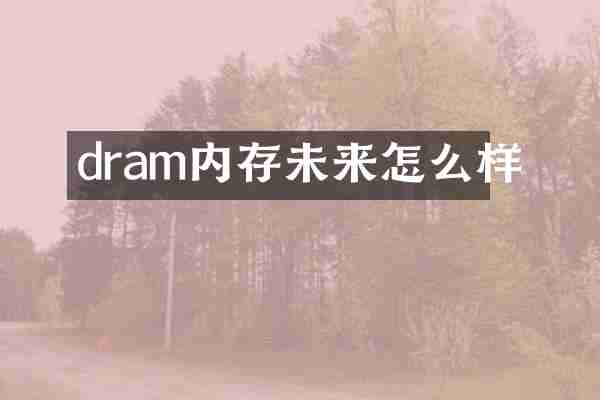 dram内存未来怎么样