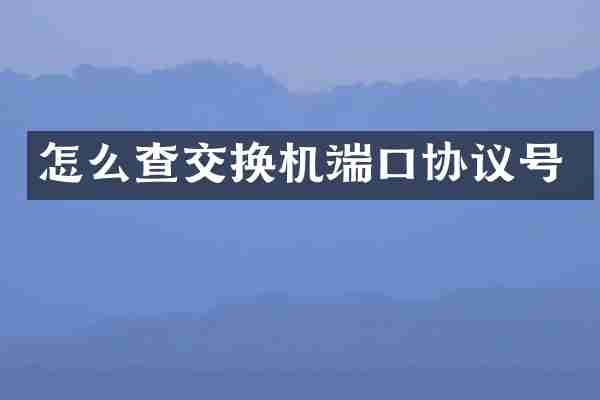 怎么查交换机端口协议号