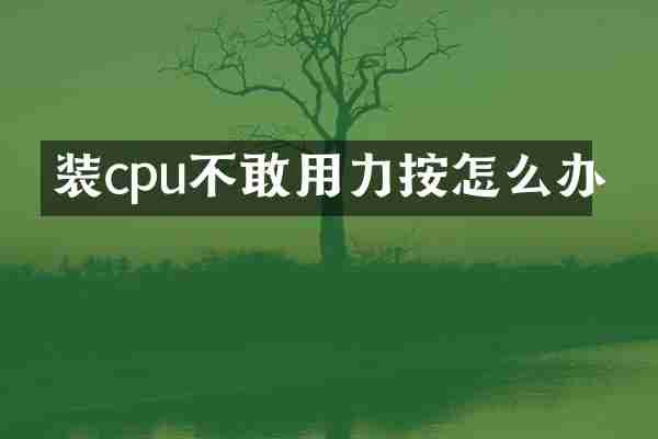 装cpu不敢用力按怎么办