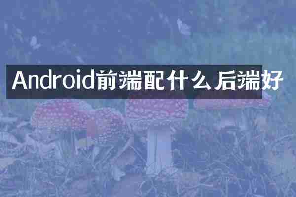 Android前端后端好