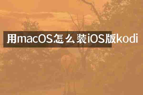 用macOS怎么装iOS版kodi