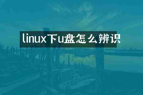 linux下u盘怎么辨识